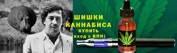 COCAINE Богородицк