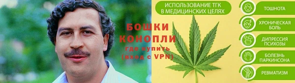 COCAINE Богородицк