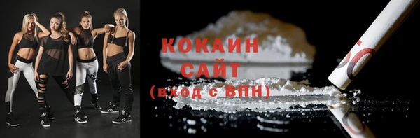 ПСИЛОЦИБИНОВЫЕ ГРИБЫ Богданович